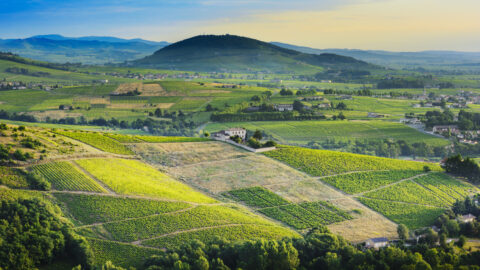 Géoparc mondial UNESCO du Beaujolais